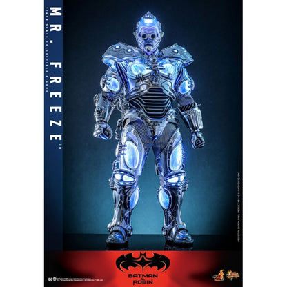 Hot Toys Batman & Robin Mr Freeze 1:6 Scale Collectable Action Figure