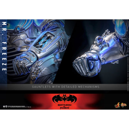 Hot Toys Batman & Robin Mr Freeze 1:6 Scale Collectable Action Figure