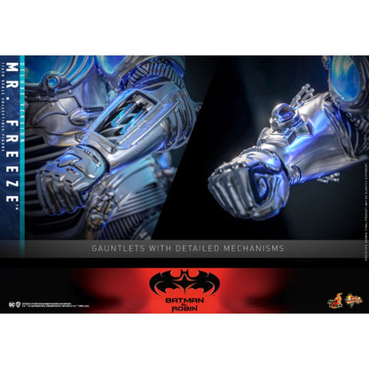 Hot Toys Batman & Robin Mr Freeze Deluxe 1:6 Scale Collectable Action Figure