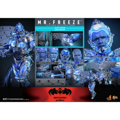Hot Toys Batman & Robin Mr Freeze Deluxe 1:6 Scale Collectable Action Figure