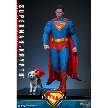 Hot Toys Superman (2025) Superman & Krypto 1:6 Scale Collectable Action Figure Set