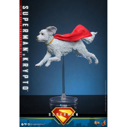 Hot Toys Superman (2025) Superman & Krypto 1:6 Scale Collectable Action Figure Set