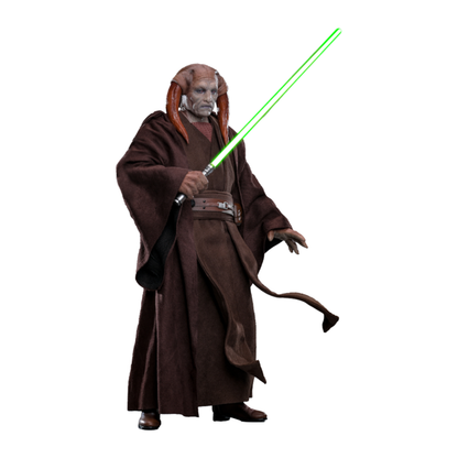 Hot Toys Star Wars Saesee Tiin 1:6 Scale Collectable Action Figure