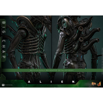 Hot Toys Alien Alien Big Chap 1:6 Scale Collectable Action Figure