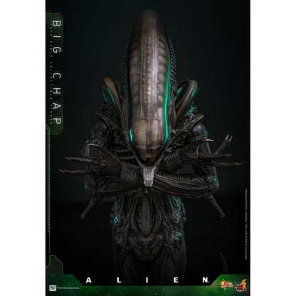 Hot Toys Alien Alien Big Chap 1:6 Scale Collectable Action Figure