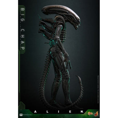 Hot Toys Alien Alien Big Chap 1:6 Scale Collectable Action Figure