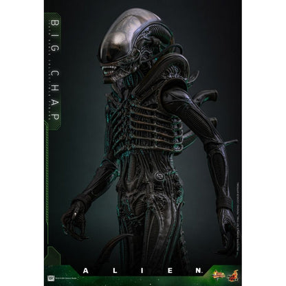 Hot Toys Alien Alien Big Chap 1:6 Scale Collectable Action Figure