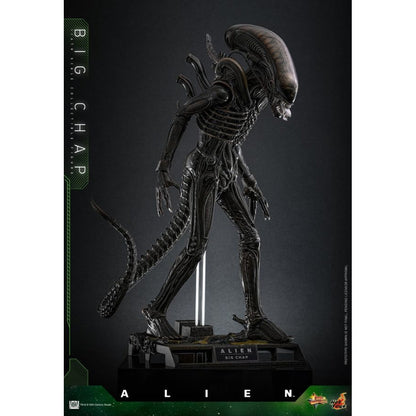 Hot Toys Alien Alien Big Chap 1:6 Scale Collectable Action Figure