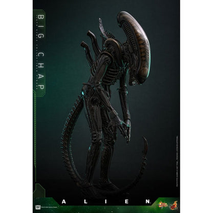 Hot Toys Alien Alien Big Chap 1:6 Scale Collectable Action Figure