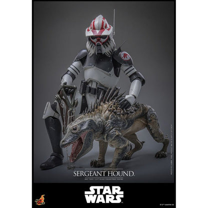 Hot Toys Star Wars: The Clone Wars Sergeant Hound 1:6 Scale Collectable Action Figure
