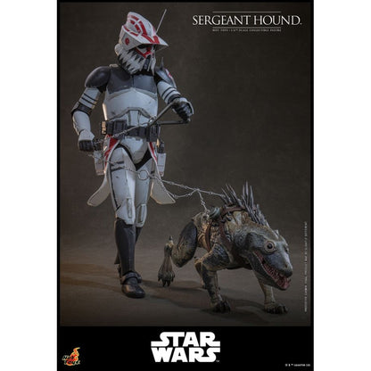 Hot Toys Star Wars: The Clone Wars Sergeant Hound 1:6 Scale Collectable Action Figure