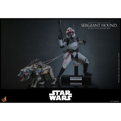 Hot Toys Star Wars: The Clone Wars Sergeant Hound 1:6 Scale Collectable Action Figure