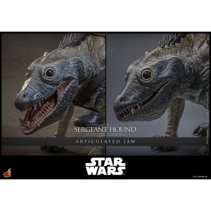 Hot Toys Star Wars: The Clone Wars Sergeant Hound 1:6 Scale Collectable Action Figure