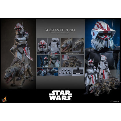 Hot Toys Star Wars: The Clone Wars Sergeant Hound 1:6 Scale Collectable Action Figure