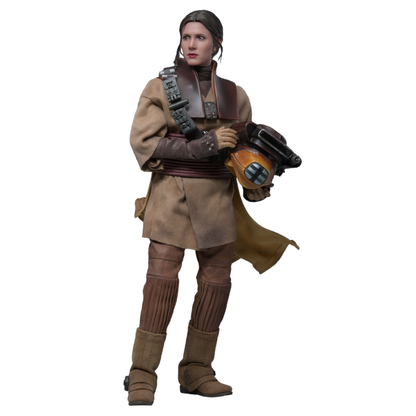 Hot Toys Star Wars: Return of the Jedi Leia Organa (Boushh Disguise) 1:6 Scale Collectable Figure