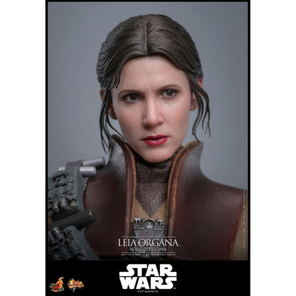 Hot Toys Star Wars: Return of the Jedi Leia Organa (Boushh Disguise) 1:6 Scale Collectable Figure