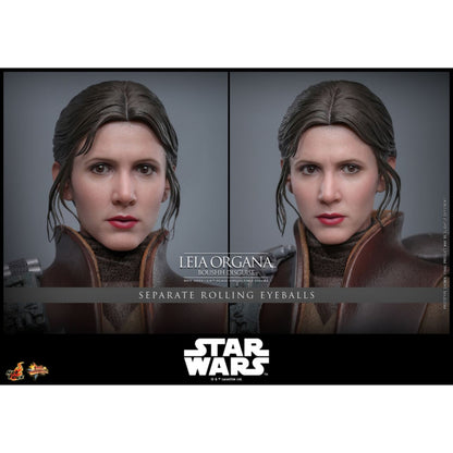 Hot Toys Star Wars: Return of the Jedi Leia Organa (Boushh Disguise) 1:6 Scale Collectable Figure