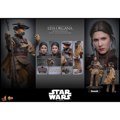 Hot Toys Star Wars: Return of the Jedi Leia Organa (Boushh Disguise) 1:6 Scale Collectable Figure