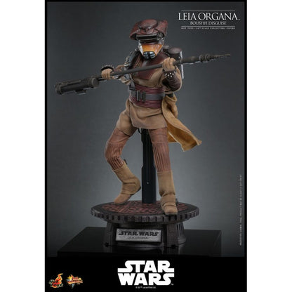 Hot Toys Star Wars: Return of the Jedi Leia Organa (Boushh Disguise) 1:6 Scale Collectable Figure