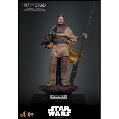 Hot Toys Star Wars: Return of the Jedi Leia Organa (Boushh Disguise) 1:6 Scale Collectable Figure