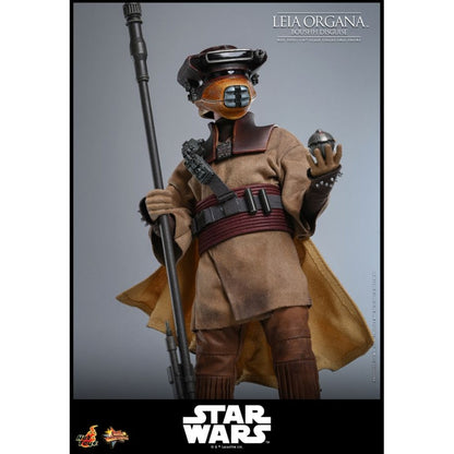 Hot Toys Star Wars: Return of the Jedi Leia Organa (Boushh Disguise) 1:6 Scale Collectable Figure