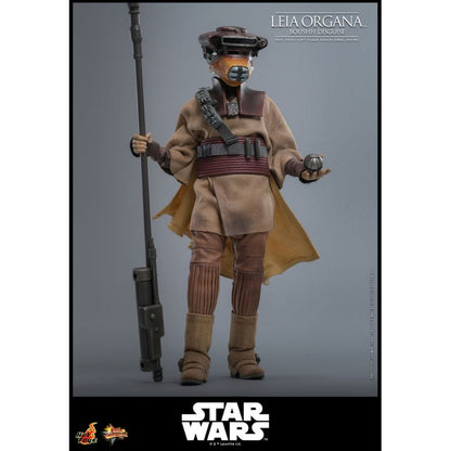 Hot Toys Star Wars: Return of the Jedi Leia Organa (Boushh Disguise) 1:6 Scale Collectable Figure