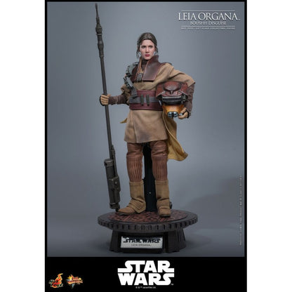 Hot Toys Star Wars: Return of the Jedi Leia Organa (Boushh Disguise) 1:6 Scale Collectable Figure