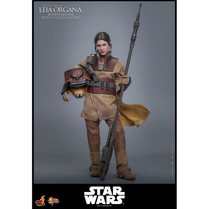 Hot Toys Star Wars: Return of the Jedi Leia Organa (Boushh Disguise) 1:6 Scale Collectable Figure