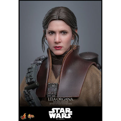 Hot Toys Star Wars: Return of the Jedi Leia Organa (Boushh Disguise) 1:6 Scale Collectable Figure