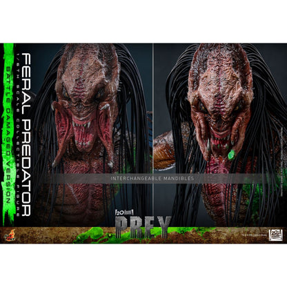 Hot Toys Predator: Prey Feral Predator (Battle Damaged Version) 1:6 Scale Collectable Action Figure