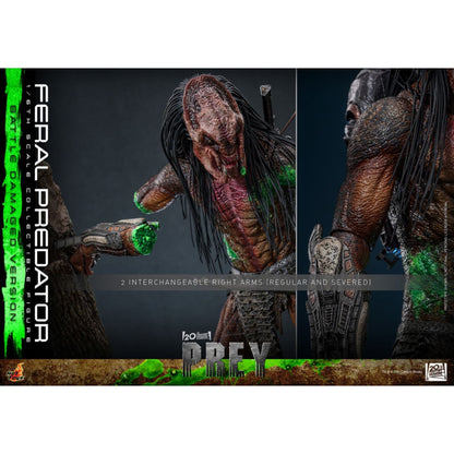 Hot Toys Predator: Prey Feral Predator (Battle Damaged Version) 1:6 Scale Collectable Action Figure