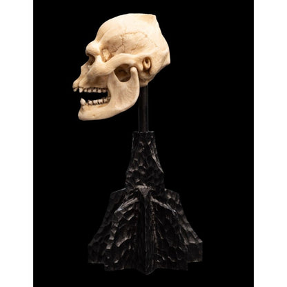Weta The Lord of the Rings Skull of Lurtz Miniature Skull