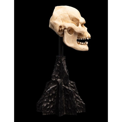 Weta The Lord of the Rings Skull of Lurtz Miniature Skull