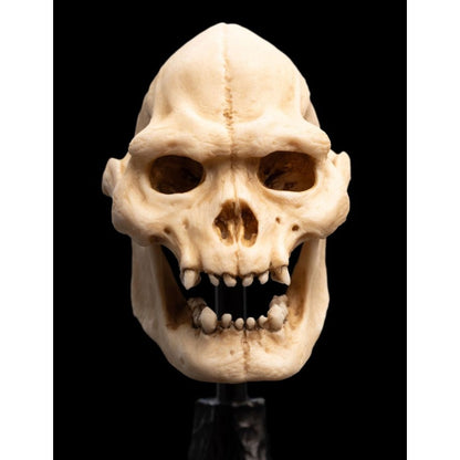 Weta The Lord of the Rings Skull of Lurtz Miniature Skull