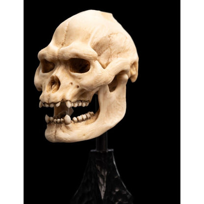 Weta The Lord of the Rings Skull of Lurtz Miniature Skull