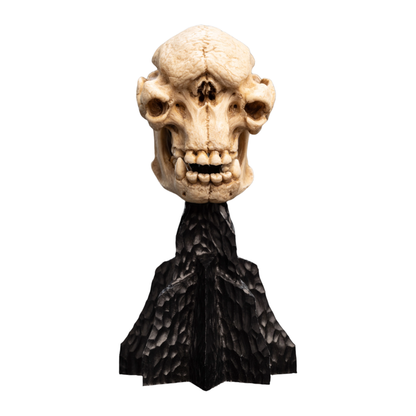 Weta The Lord of the Rings Skull of a Cave Troll Miniature Skull
