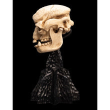 Weta The Lord of the Rings Skull of a Cave Troll Miniature Skull