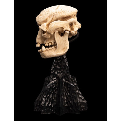 Weta The Lord of the Rings Skull of a Cave Troll Miniature Skull