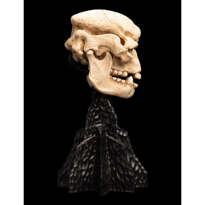 Weta The Lord of the Rings Skull of a Cave Troll Miniature Skull