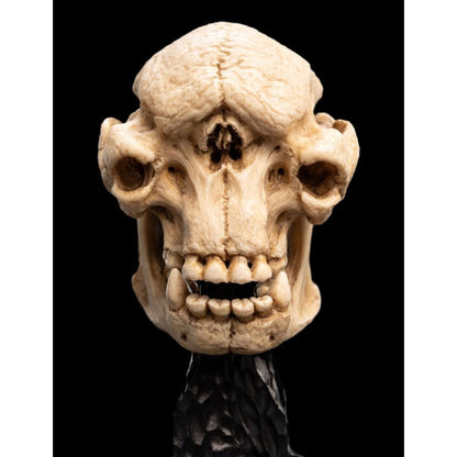 Weta The Lord of the Rings Skull of a Cave Troll Miniature Skull