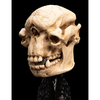 Weta The Lord of the Rings Skull of a Cave Troll Miniature Skull
