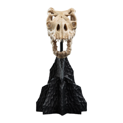 Weta The Lord of the Rings Skull of a Fell Beast Miniature Skull
