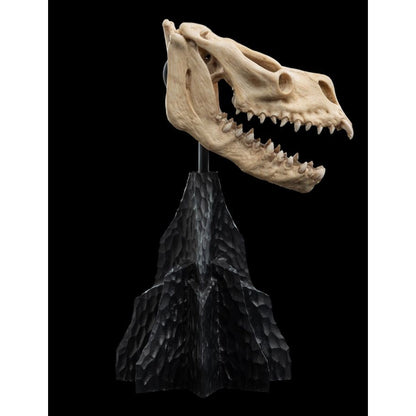 Weta The Lord of the Rings Skull of a Fell Beast Miniature Skull