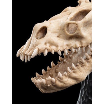Weta The Lord of the Rings Skull of a Fell Beast Miniature Skull