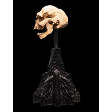 Weta The Lord of the Rings Skull of a Moria Orc Miniature Skull