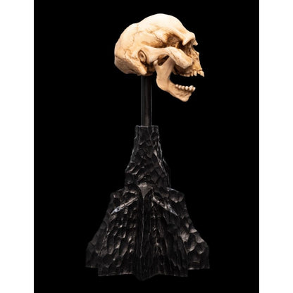 Weta The Lord of the Rings Skull of a Moria Orc Miniature Skull