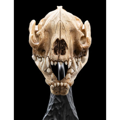 Weta The Lord of the Rings Skull of a Warg Miniature