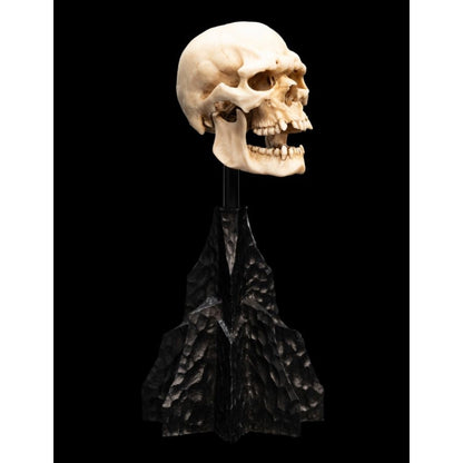 Weta The Lord of the Rings Skull of a Mordor Orc Miniature