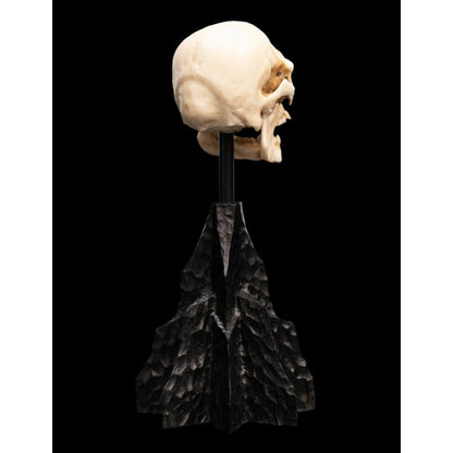 Weta The Lord of the Rings Skull of a Mordor Orc Miniature