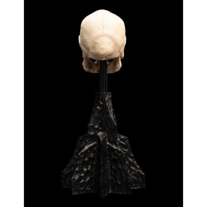 Weta The Lord of the Rings Skull of a Mordor Orc Miniature